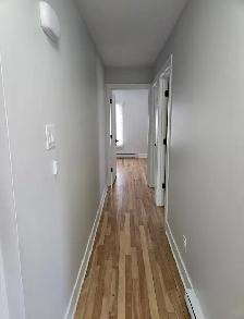 4 et 1/2, Renové style condo, 10 min Metro Papineau, dispinible - Photo 10