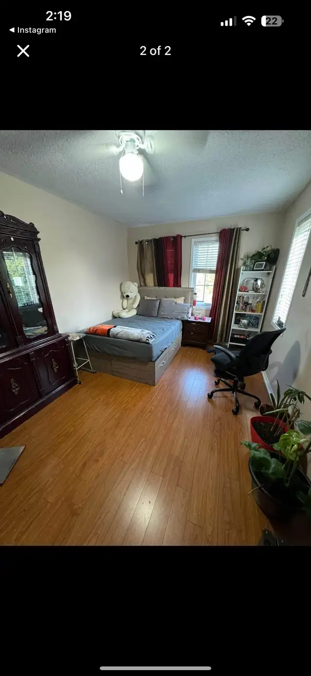 room for rent