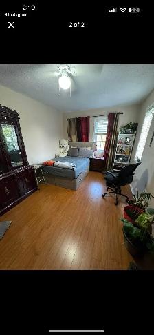 room for rent