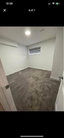 Skyview Ranch Basement - Photo 3