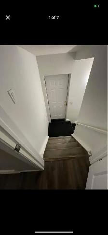 Skyview Ranch Basement - Photo 7