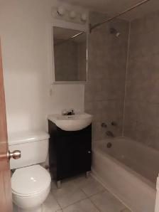 30e avenue et Beaubien 4 1/2 - Photo 3