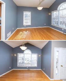 Professional Painting & Handyman Services
