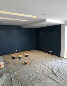Professional Painting & Handyman Services - Photo 2