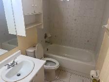 2 bedroom legal basement for rent - Photo 3