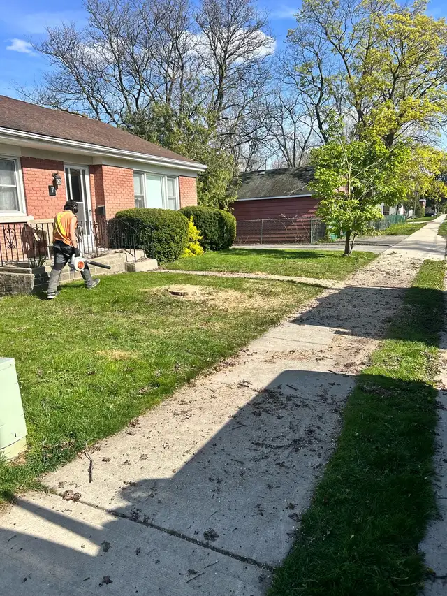 Tree Removal Labourer Needed Asap
