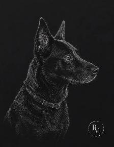 Custom Pet Portraits & Memorial Artwork — Digital Files Starting - Photo 2