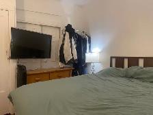 4 1/2 apartment for rent Plateau-1495 - Photo 6