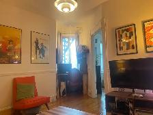 4 1/2 apartment for rent Plateau-1495 - Photo 9