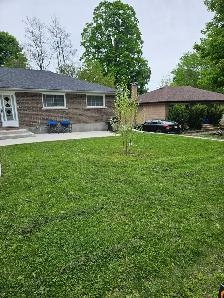 Lawn Mowing Services | Peterborough & Surrounding Areas - Photo 3