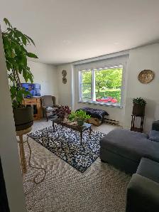 209 Prince St #4 - 2BR West, Clean and Bright, Backyard - Photo 2