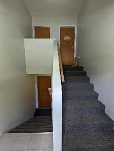 209 Prince St #4 - 2BR West, Clean and Bright, Backyard - Photo 7
