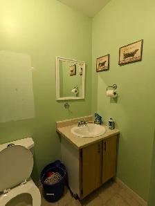 209 Prince St #4 - 2BR West, Clean and Bright, Backyard - Photo 14