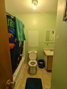209 Prince St #4 - 2BR West, Clean and Bright, Backyard - Photo 15