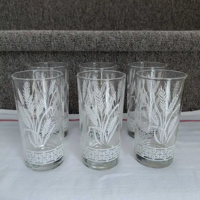 Ensemble de 6 magnifiques verres vintage Dominion