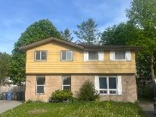 room for rent - Photo 2
