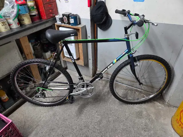 Velo de montagne Skyline 10 vitesses roues 26po cadre 2