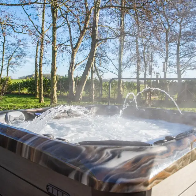 ORION HOT TUB FOR SALE