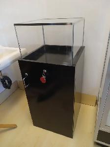 Locking Display Case with Keys