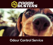Dog Poop Cleanup & Yard Deodorizing Service - Photo 2