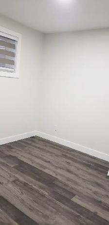 Legal basement Suite with 2bedroom & 1 full Bath - Photo 11