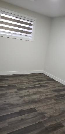 Legal basement Suite with 2bedroom & 1 full Bath - Photo 12