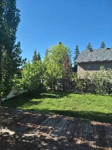 Premium Home Dog Boarding | Pickup Available | No Kennels - Photo 4