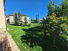 Premium Home Dog Boarding | Pickup Available | No Kennels - Photo 5