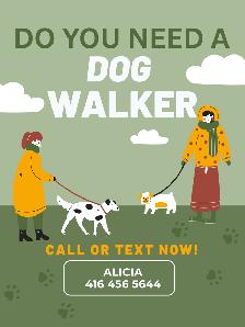 Professional Dog Walker Services