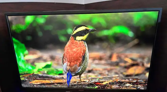 acer 32 inch 1440p gaming monitor must go today