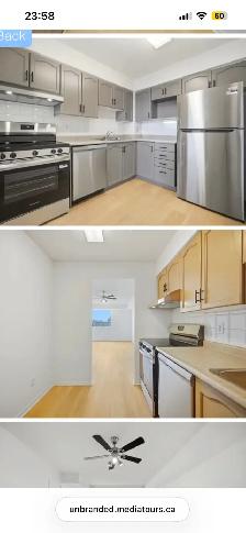 Beautiful quiet Condo for rent on Steetsville - Photo 6