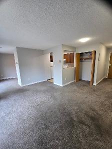 Top-Floor 1 BR  Block from Brentwood Mall - Photo 4