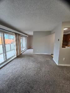 Top-Floor 1 BR  Block from Brentwood Mall - Photo 5