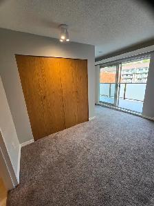 Top-Floor 1 BR  Block from Brentwood Mall - Photo 7
