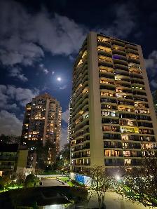 Top-Floor 1 BR  Block from Brentwood Mall - Photo 10