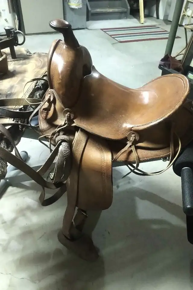 Vintage saddle and equipment