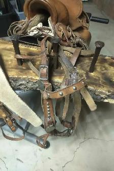 Vintage saddle and equipment - Photo 2