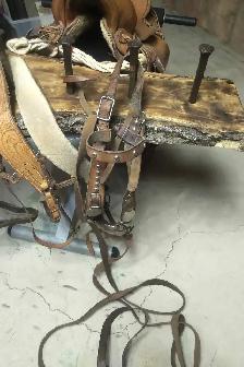 Vintage saddle and equipment - Photo 5