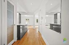 Hampstead Upper Duplex - Photo 7