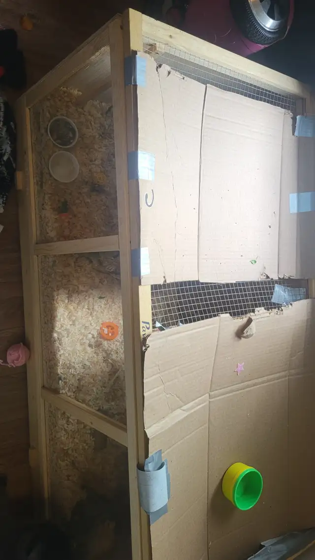 Free Hamster and Cage