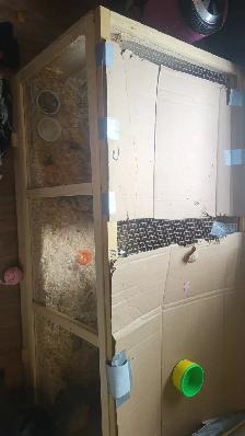 Free Hamster and Cage