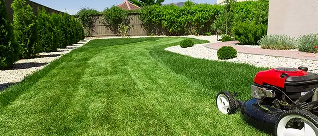 Lawn care service