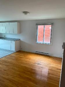 4 1/2 Rosemont – 2 Balcons – Premier Étage – TRIPLEX - Photo 2