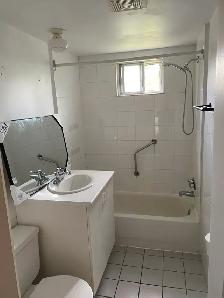 4 1/2 Rosemont – 2 Balcons – Premier Étage – TRIPLEX - Photo 7