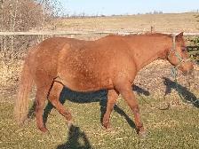 Meet Peppy - Photo 3