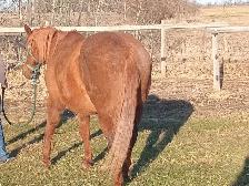 Meet Peppy - Photo 5