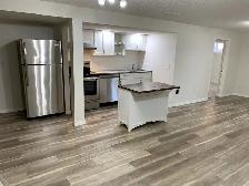 Legal 2 bedroom basement suite Rundle NE