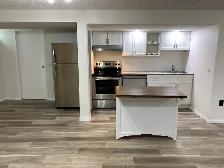 Legal 2 bedroom basement suite Rundle NE - Photo 8