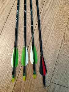 Bear Archery Crusader Youth bow! - Photo 5