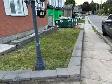 JT Lawn Care and Cleaning Servicing Guelph and Area - Photo 3